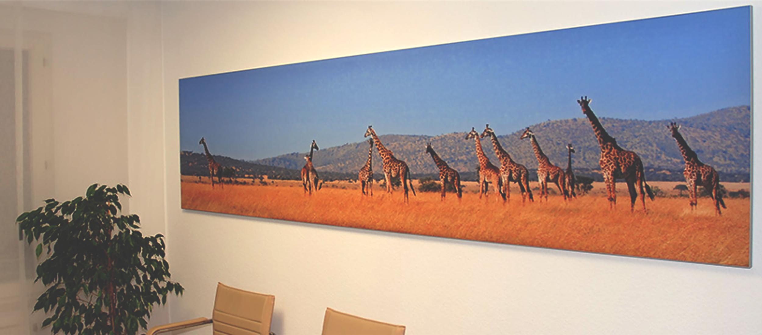 Textildruck Aluminium Spannrahmen Wartezimmer